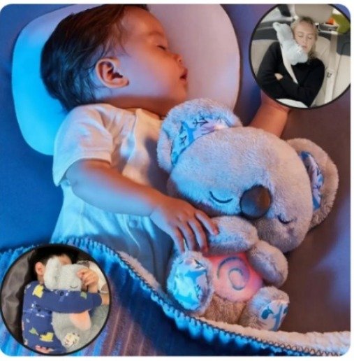 imageye___-_imgi_7_1732920959KOALA KOALA CALMA